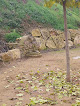 Parque De Calistenia